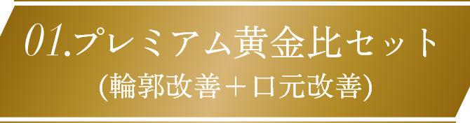 プレミアム黄金比セット