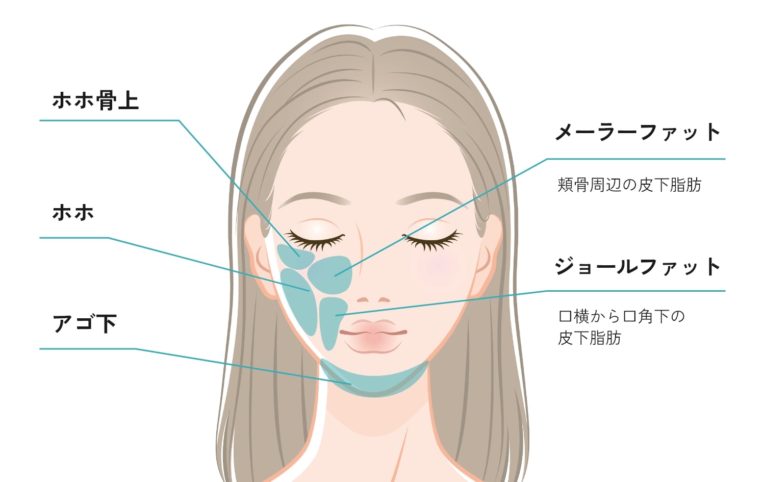 小顔の脂肪吸引・注射