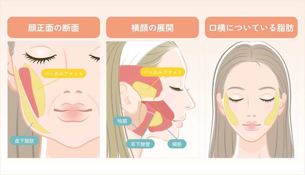 施術箇所