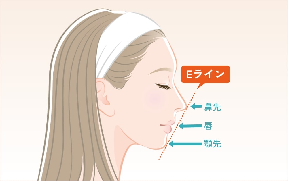 Eラインと鼻先唇顎先の相対的な位置を示す女性の横顔イラスト