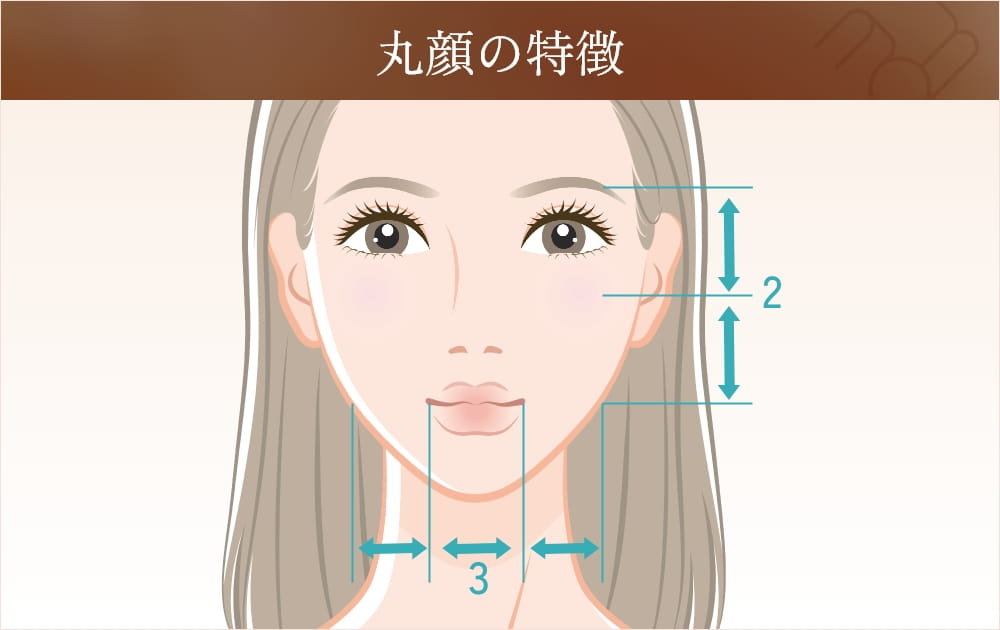 丸顔の特徴を示す女性の顔のイラスト