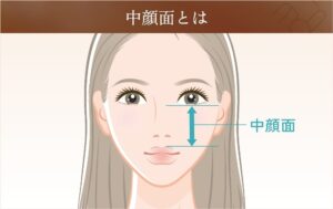 【令和版】平均的な中顔面の長さとは?理想の比率と短く見せる方法を解説 | EMMO FACE CLINIC|大宮 東京三田 大阪梅田 の美容