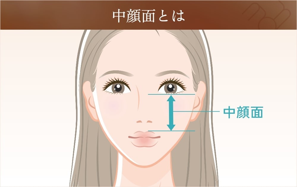 女性の顔と中顔面を示すガイド線