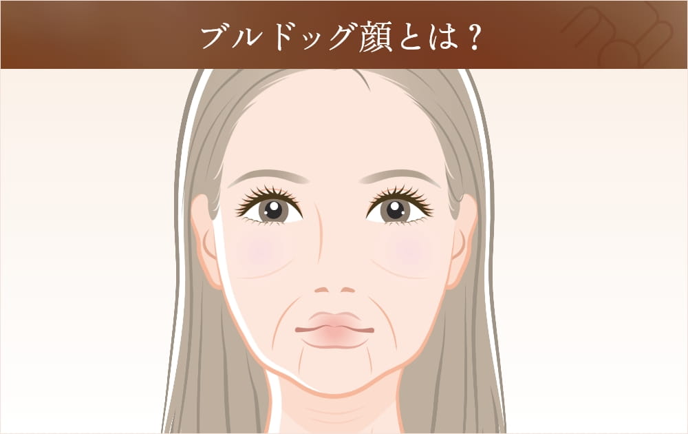 ブルドッグ顔の女性のイラスト