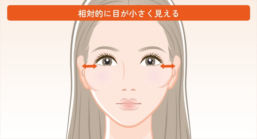 頬骨の広がりで目が小さく見えている様子