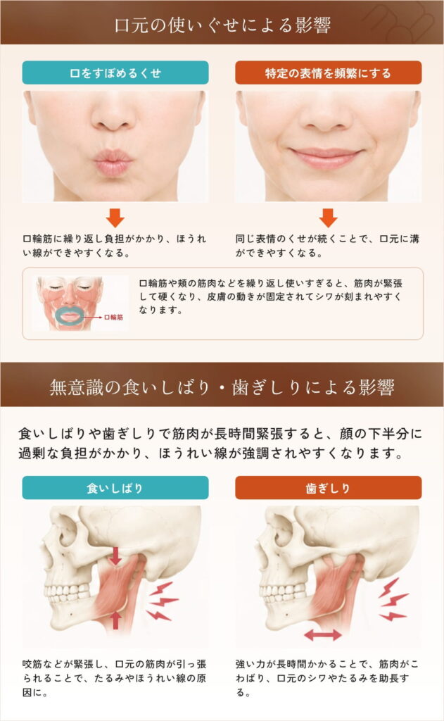口元の使い癖と食いしばり歯ぎしりによる影響の解説図