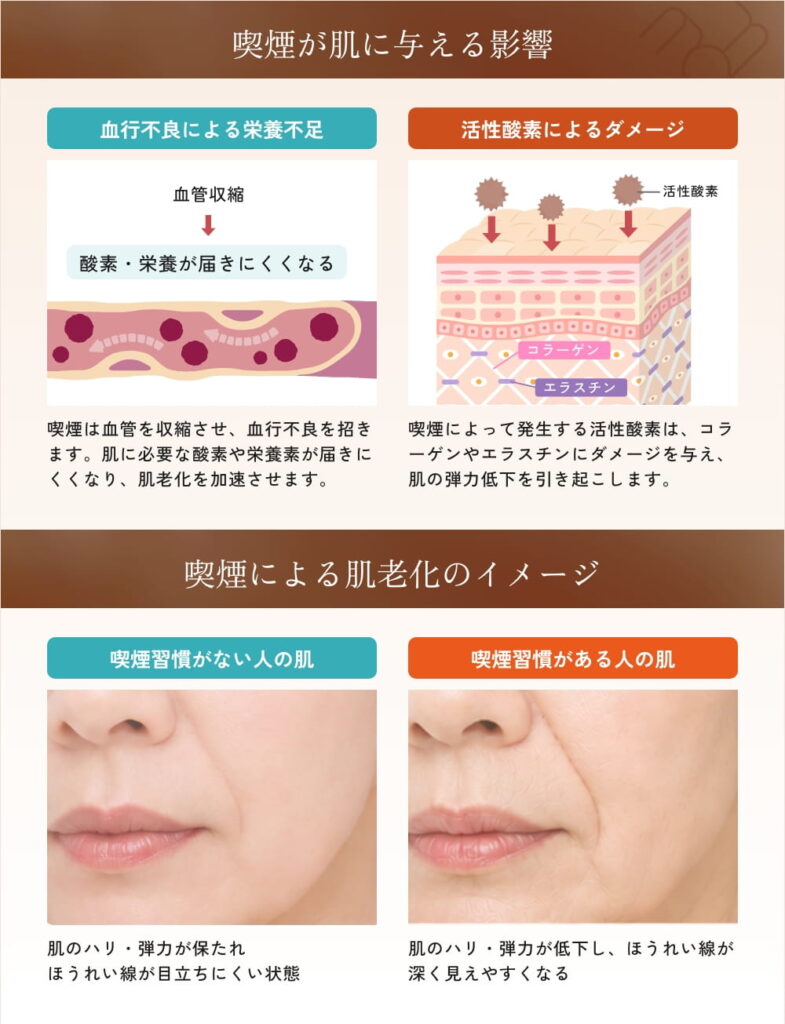 喫煙が肌に与える影響と喫煙習慣による肌老化の比較