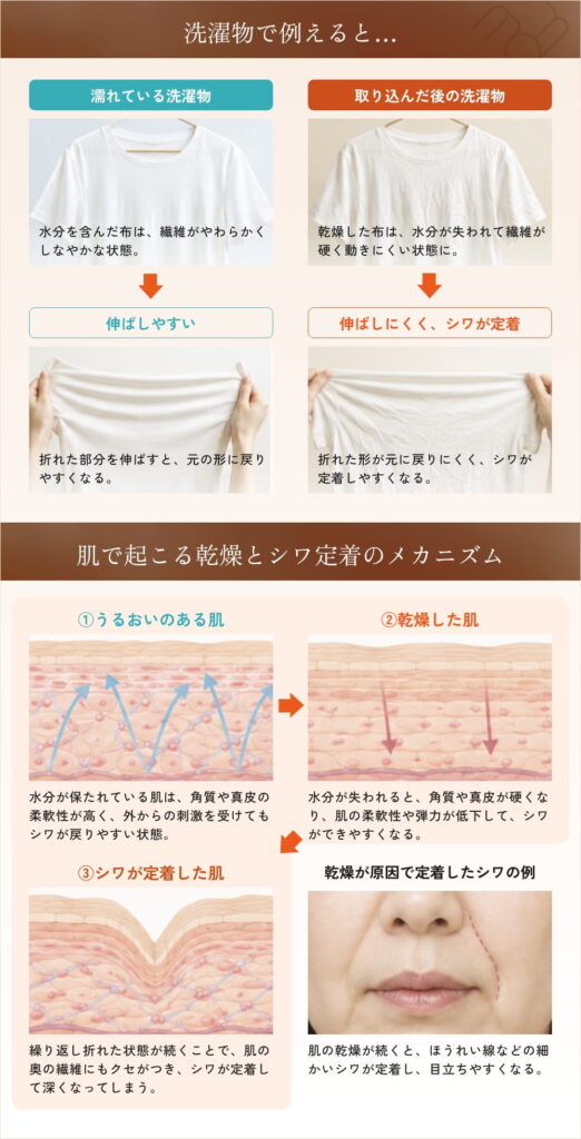 洗濯物と肌の乾燥とシワのメカニズム