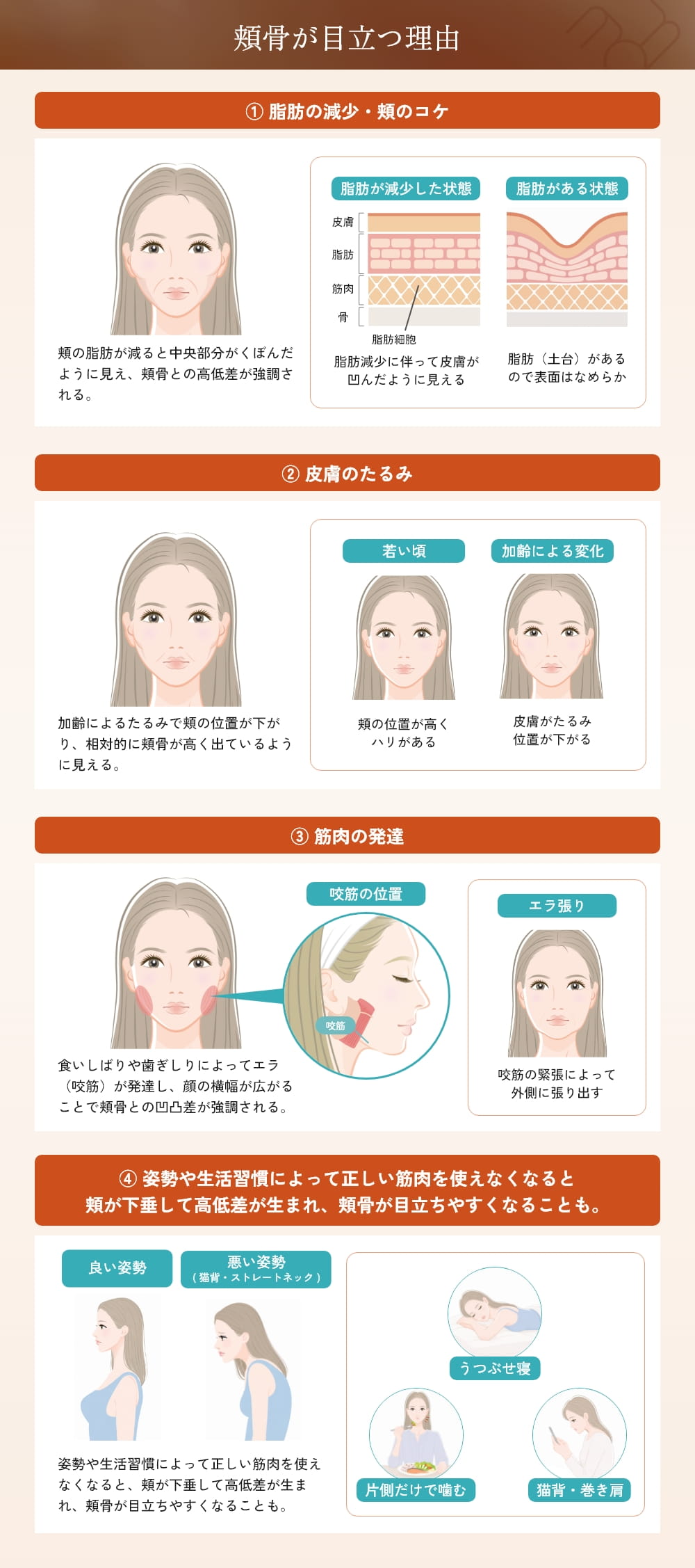 頬骨が目立つ3つの理由と悪い生活習慣
