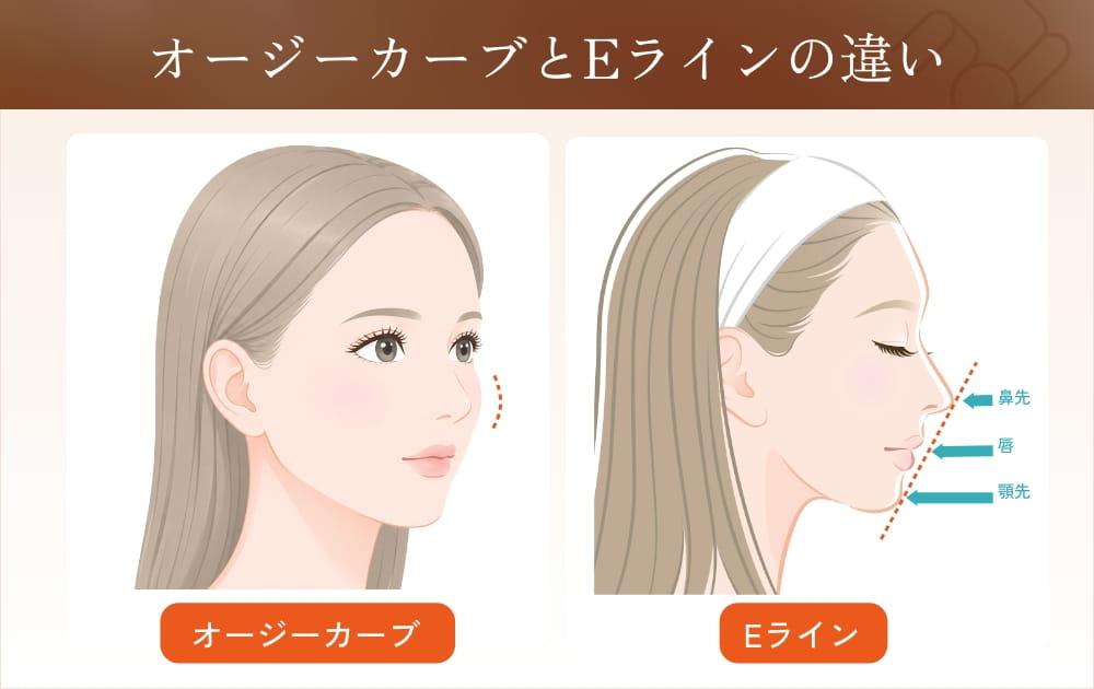 オージーカーブとEラインの違い
