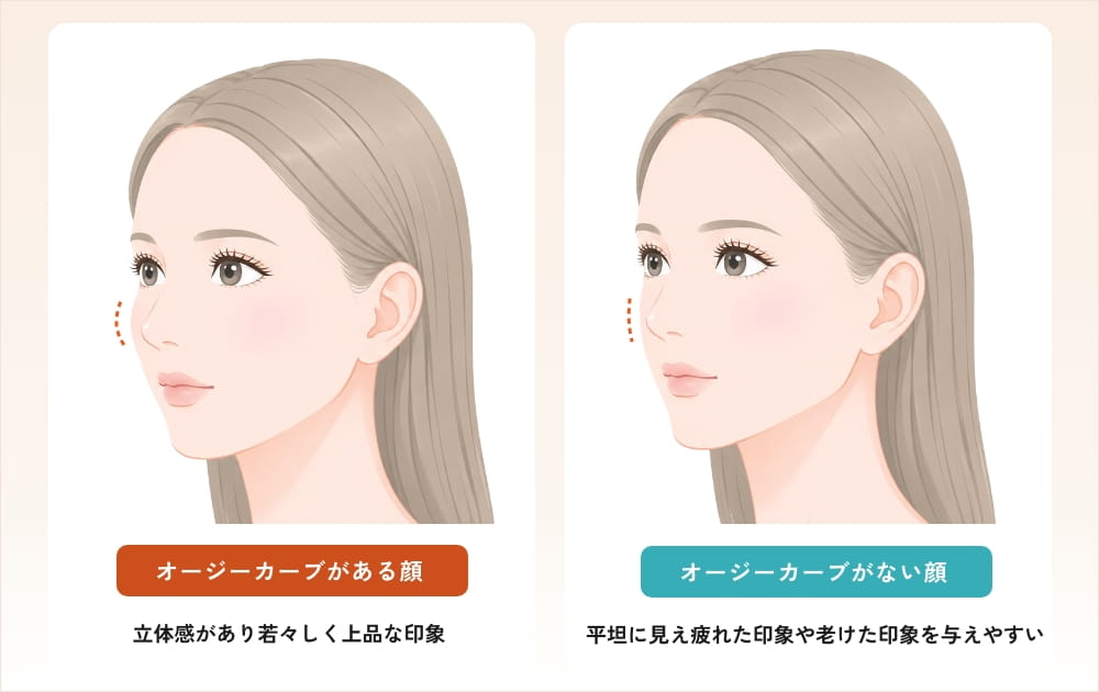 オージーカーブがある顔とない顔の印象の違い